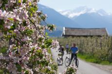 Frühlingserwachen im Meraner Land