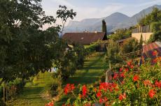Blick vom Balkon