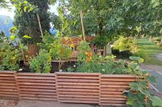 Bauerngarten mit Kräutern und Gemüse