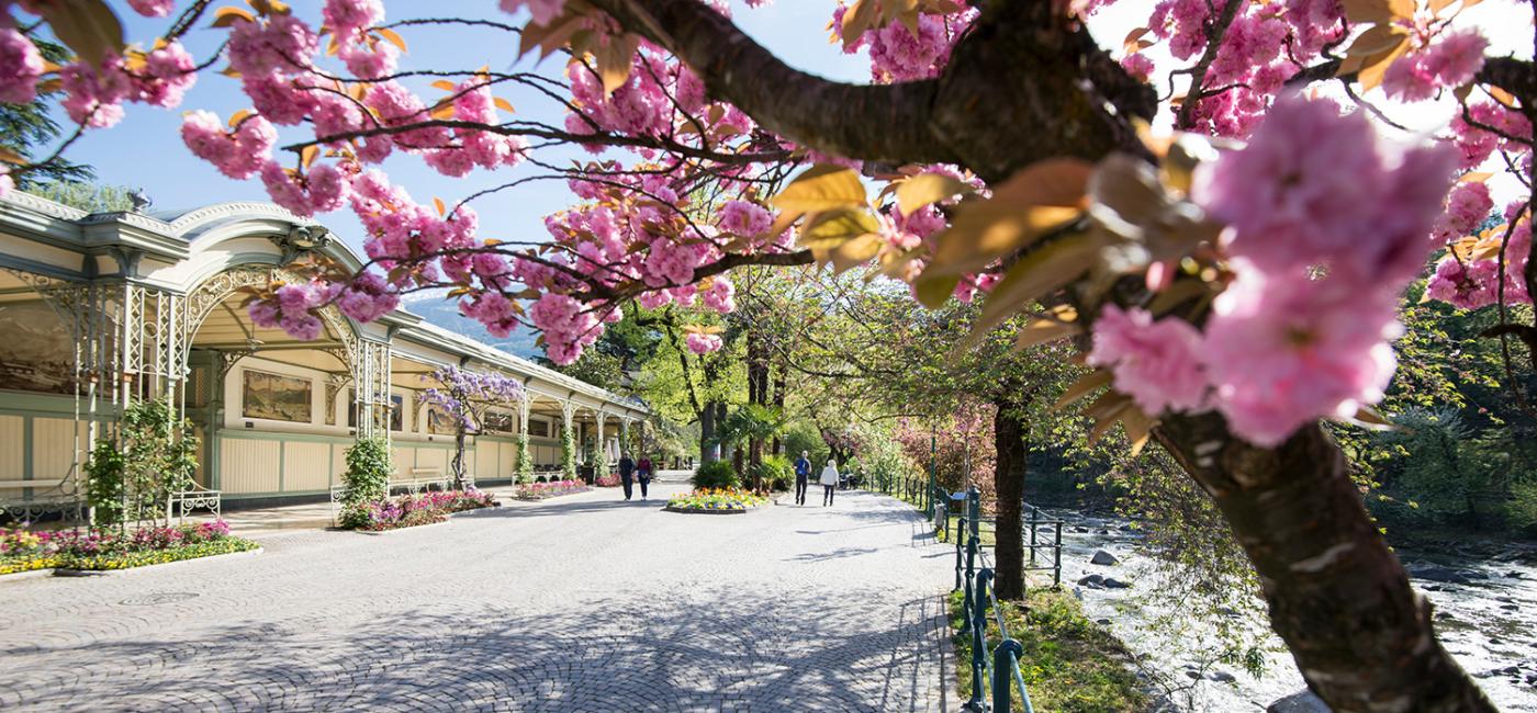 Primavera sulla Passeggiata Lungo Passirio